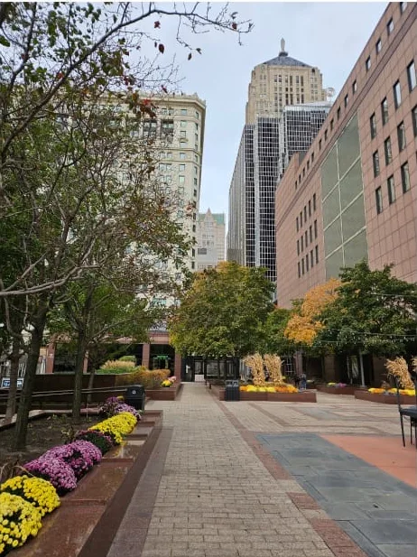 Buildings in Autumn Season